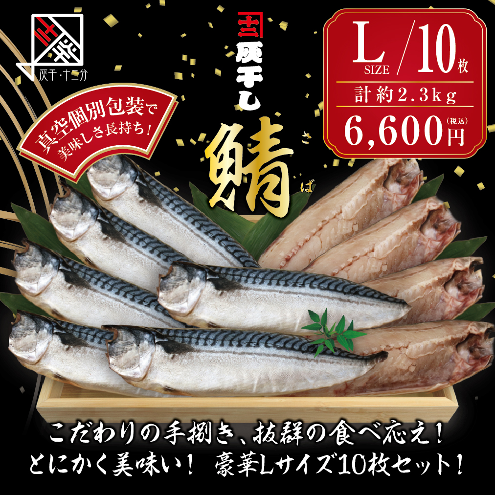 灰干しサバL10枚セット