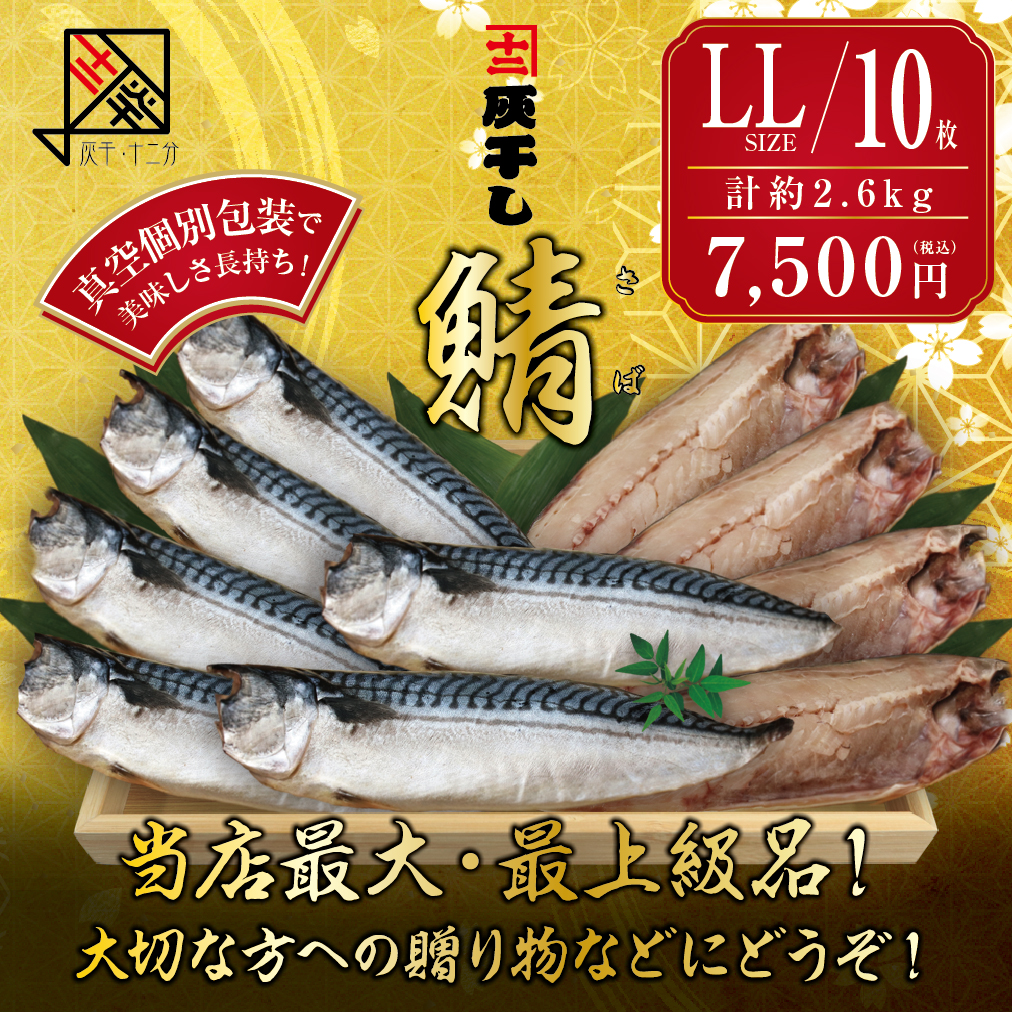 灰干しサバLL10枚セット
