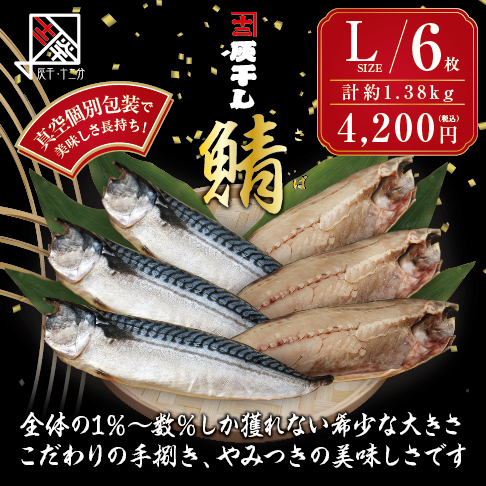 灰干しサバL6枚セット