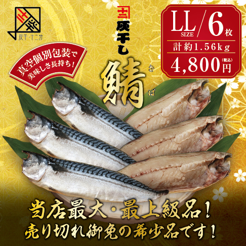灰干しサバLL6枚セット