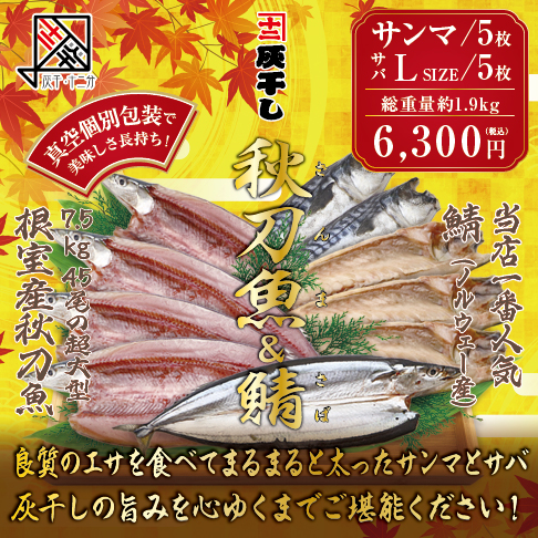 灰干しサバ・サンマ