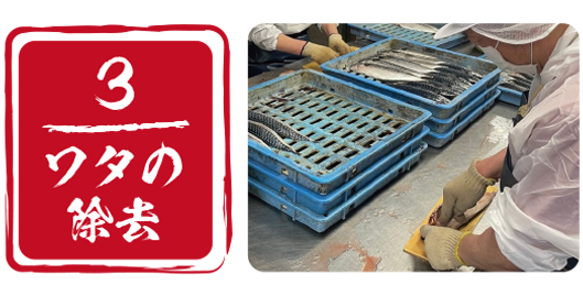 手作業でワタを除去！