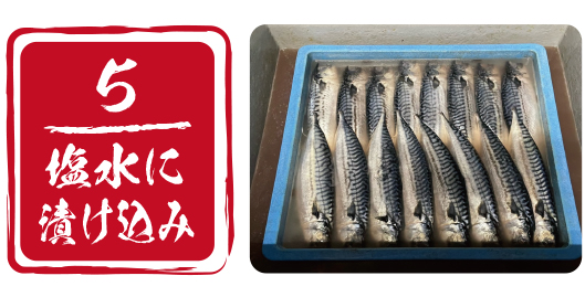 創業以来100年超継ぎ足しの塩水で塩分を調整し漬け込みます。