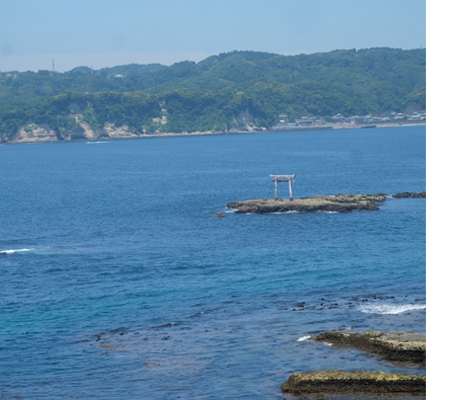 創業100年余　先人の知恵を進化させこれからも美味しい干物をお届けします